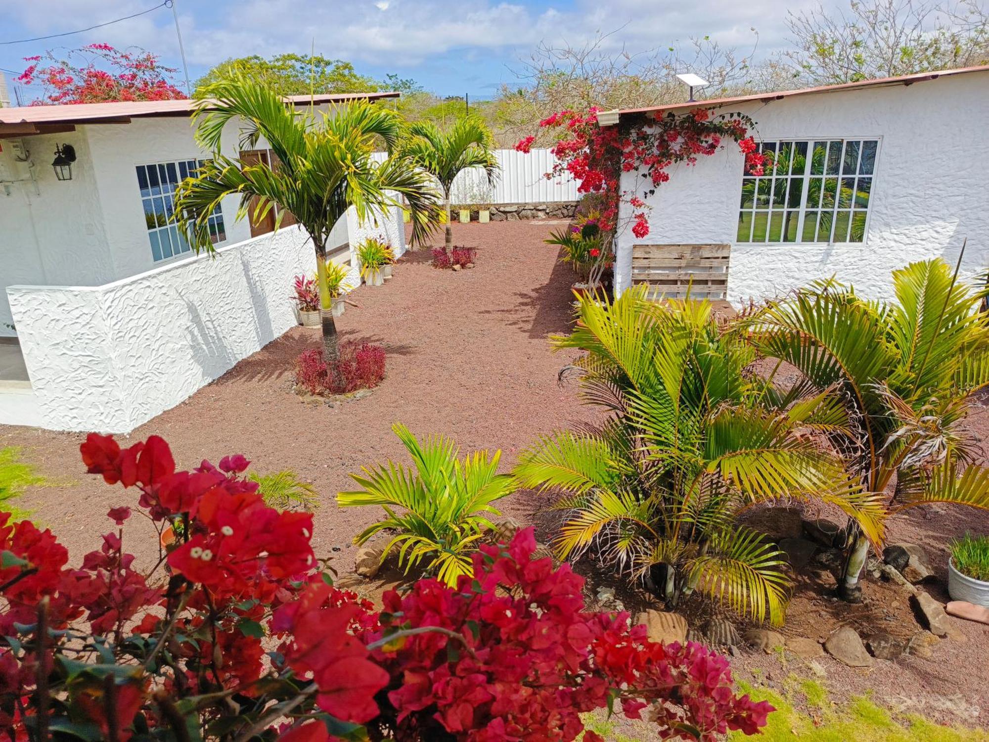 Habitacion Con Bano, Cocina E Internet Satelital Starlink Puerto Baquerizo Moreno Exterior photo