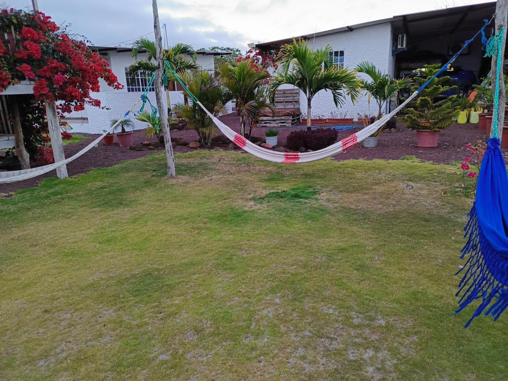 Habitacion Con Bano, Cocina E Internet Satelital Starlink Puerto Baquerizo Moreno Exterior photo