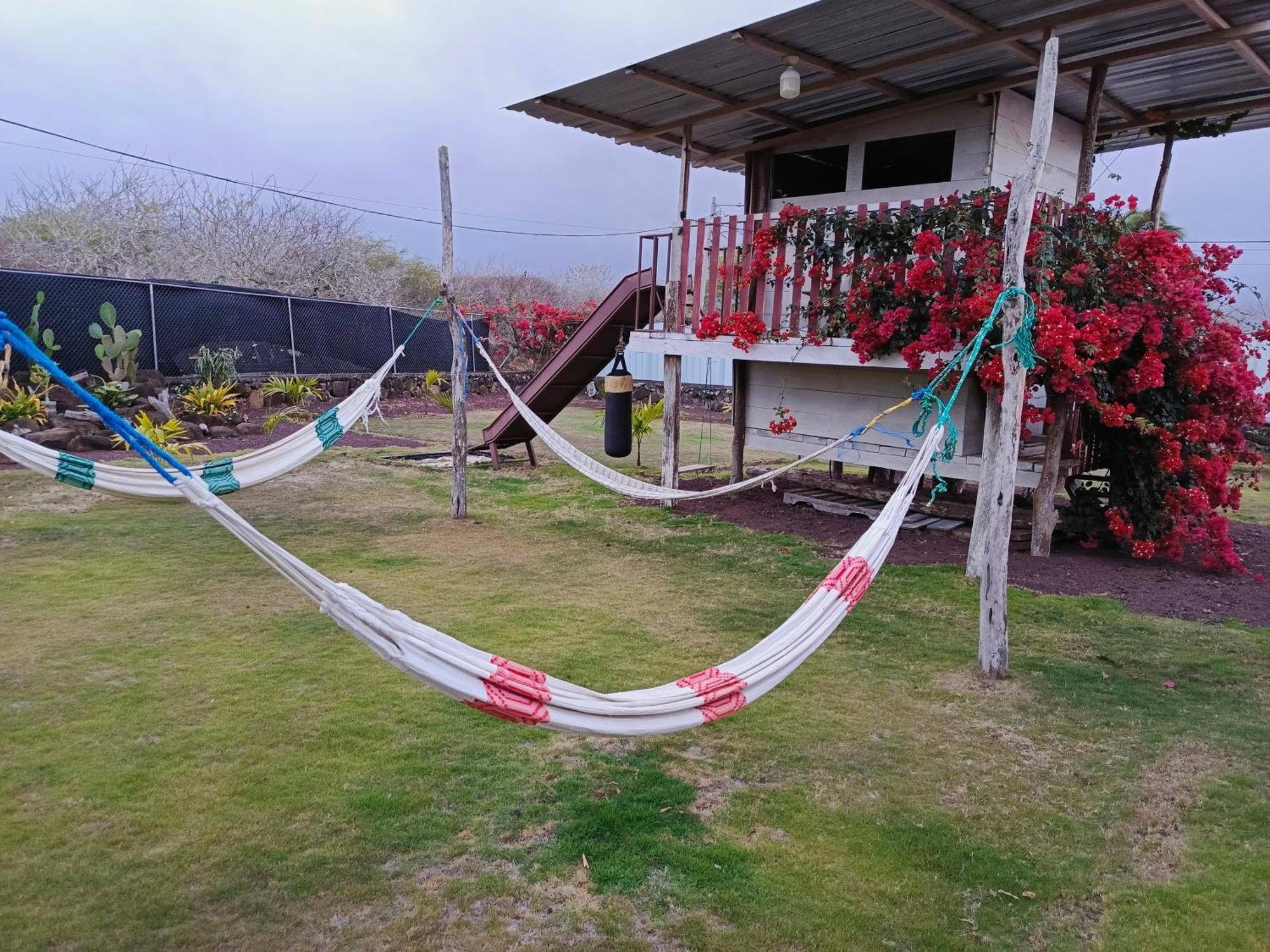 Habitacion Con Bano, Cocina E Internet Satelital Starlink Puerto Baquerizo Moreno Exterior photo