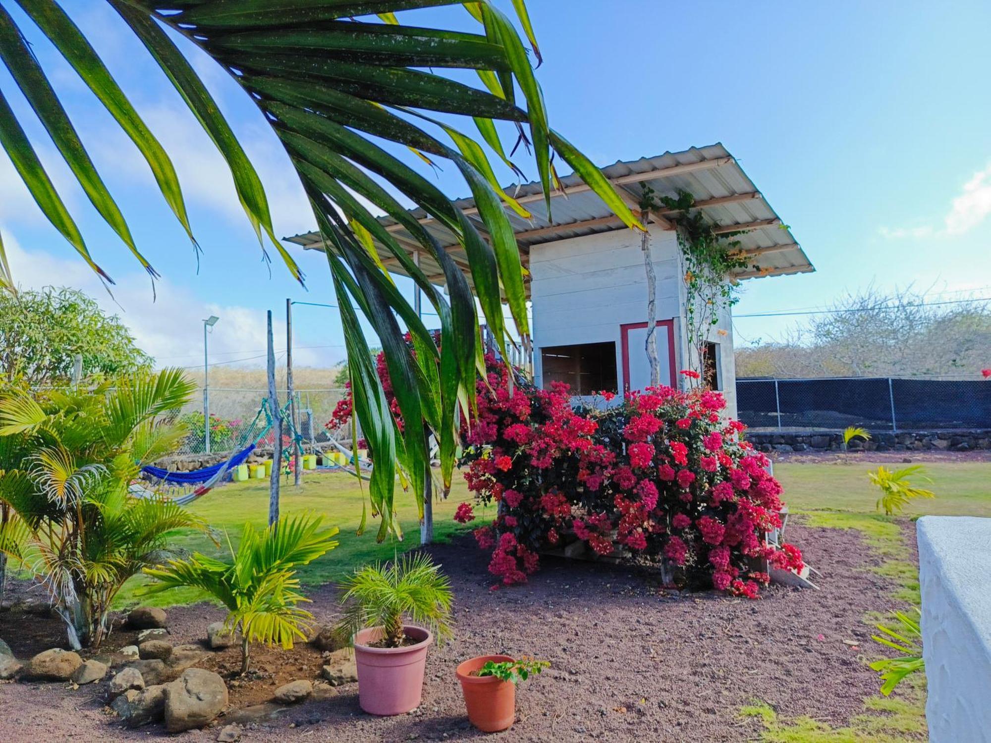 Habitacion Con Bano, Cocina E Internet Satelital Starlink Puerto Baquerizo Moreno Exterior photo